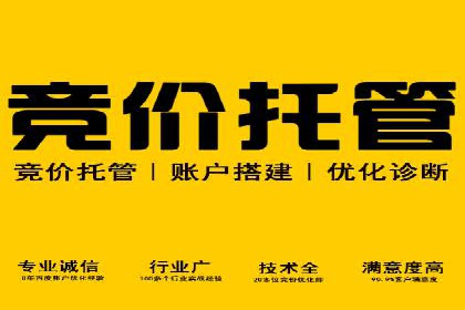 SEM推广公司案例：打造行业领军品牌
